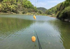 钓鱼的这些民间配方都很牛，你们都用过么？