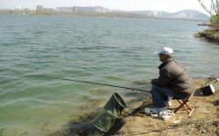 这些常见中药材，竟是民间钓鱼配方的主料，专