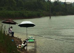 成本不到5块钱的民间钓鱼配方，野钓效果居然这