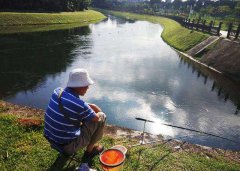 民间钓鱼偏方，跟商品饵料哪个更好用，更有效