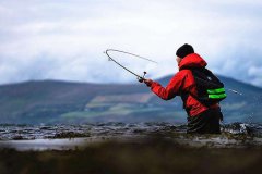 黑坑钓鱼的这些使用简单技巧钓友们都会么？