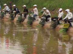 黑坑垂钓需要的技巧攻略原来是这样的？